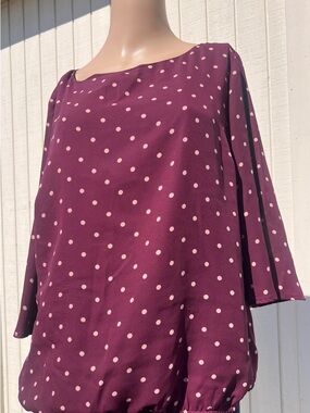 New York & Company Polka Dot Blouse Size L | Burgundy Sheer Top